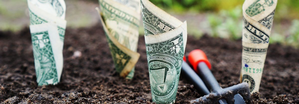 Overt Monetary Finance (OMF): Fluch oder Segen?