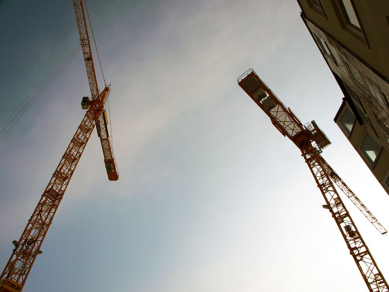 569187 Petra_Dirscherl