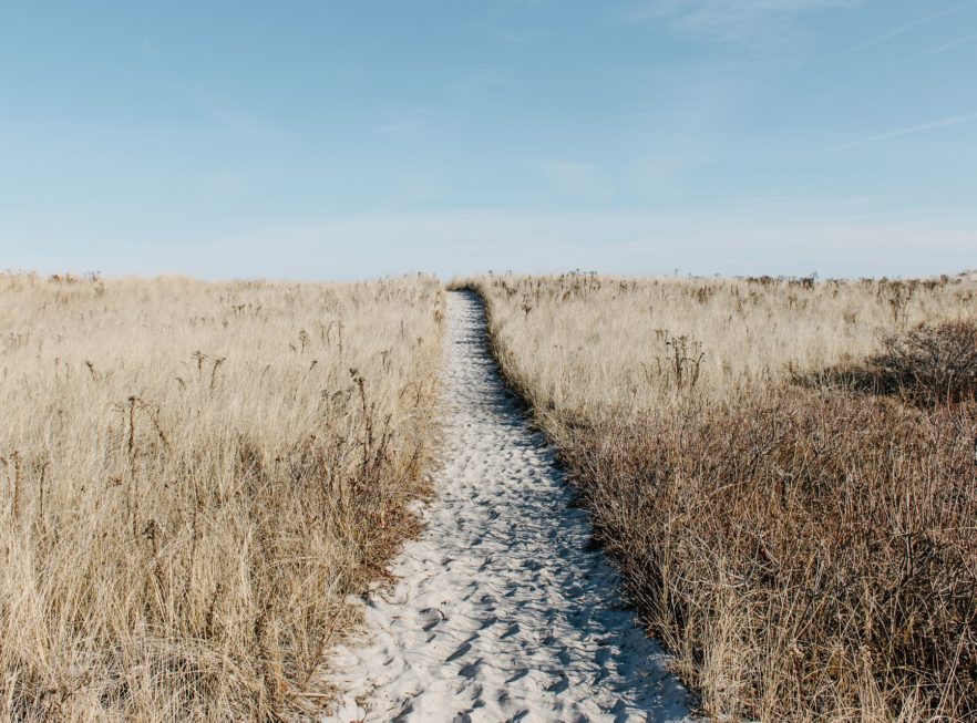 Free-Photos / Pixabay