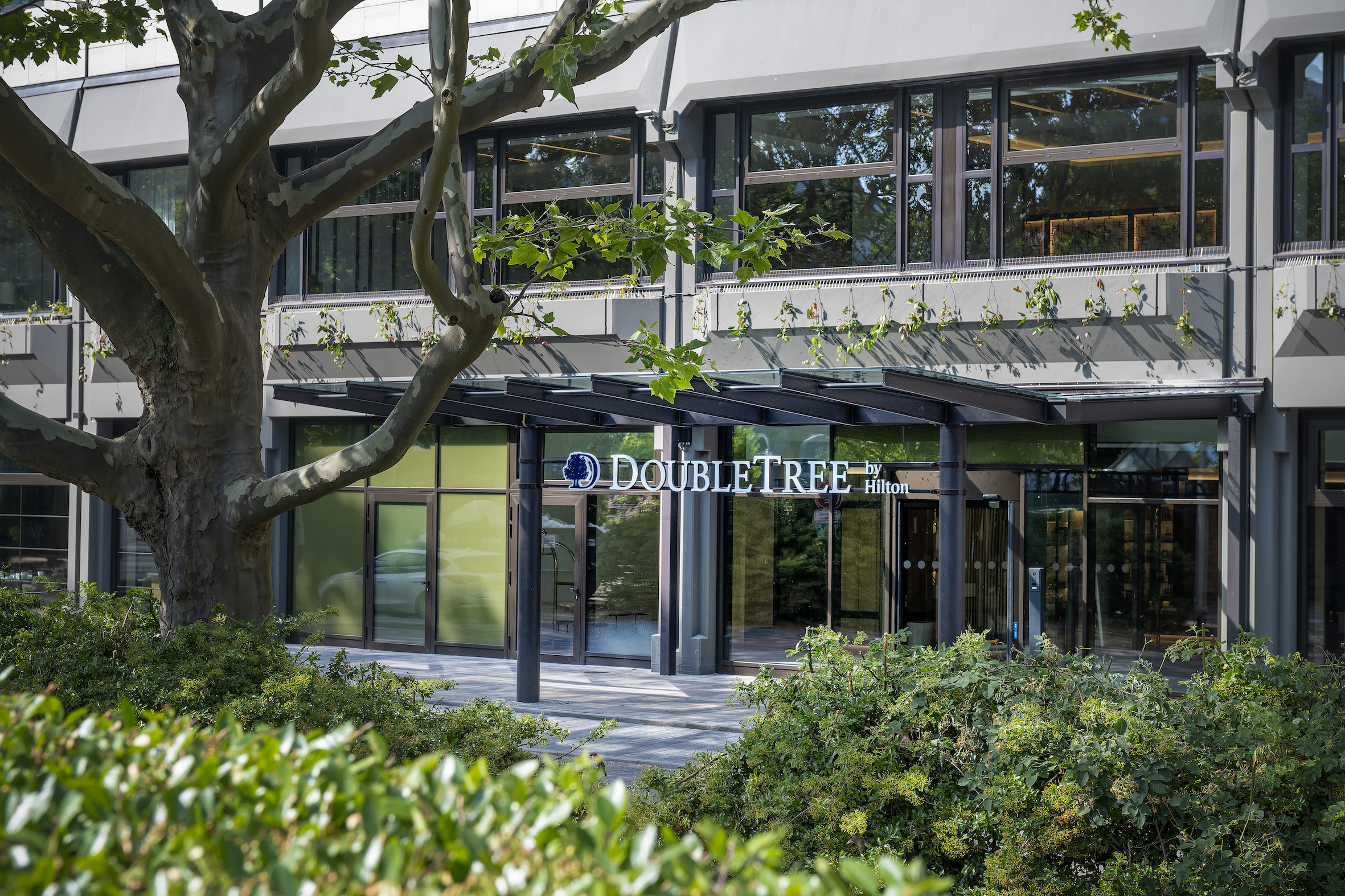 DoubleTree by Hilton in Berlin eröffnet Anlegermagazin Mein Geld