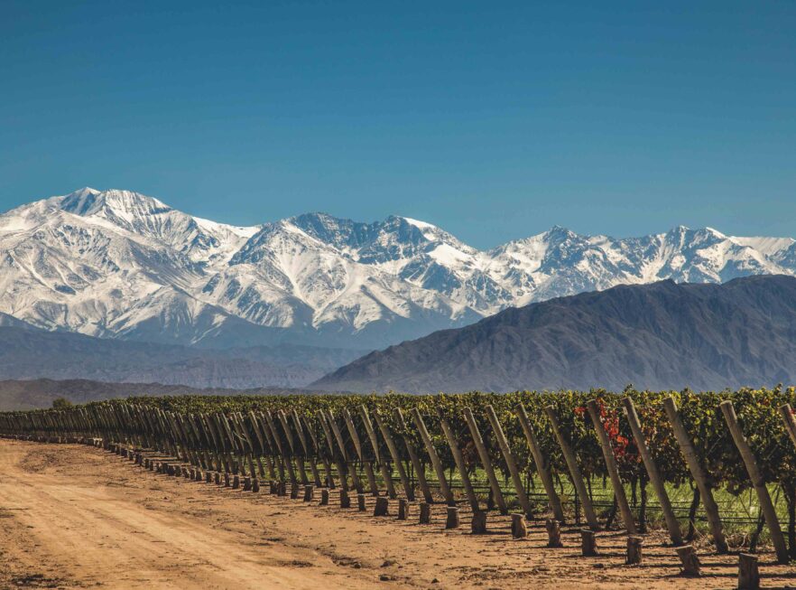 Weinbau Argentinien