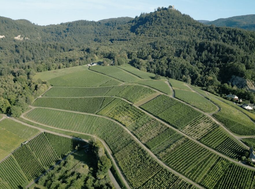 Weingut Nägelsförst