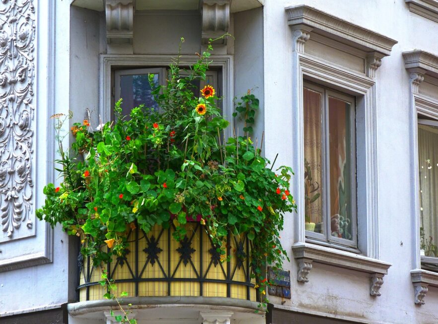 Balkon
