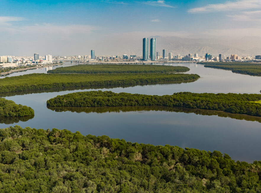 Ras Al Khaimah Tourism Development Authority (RAKTDA)